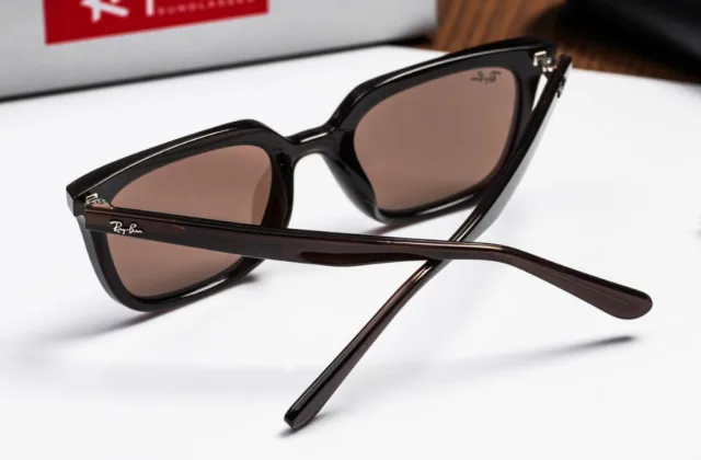 แว่น Ray-Ban RB4439D 623173 ขา