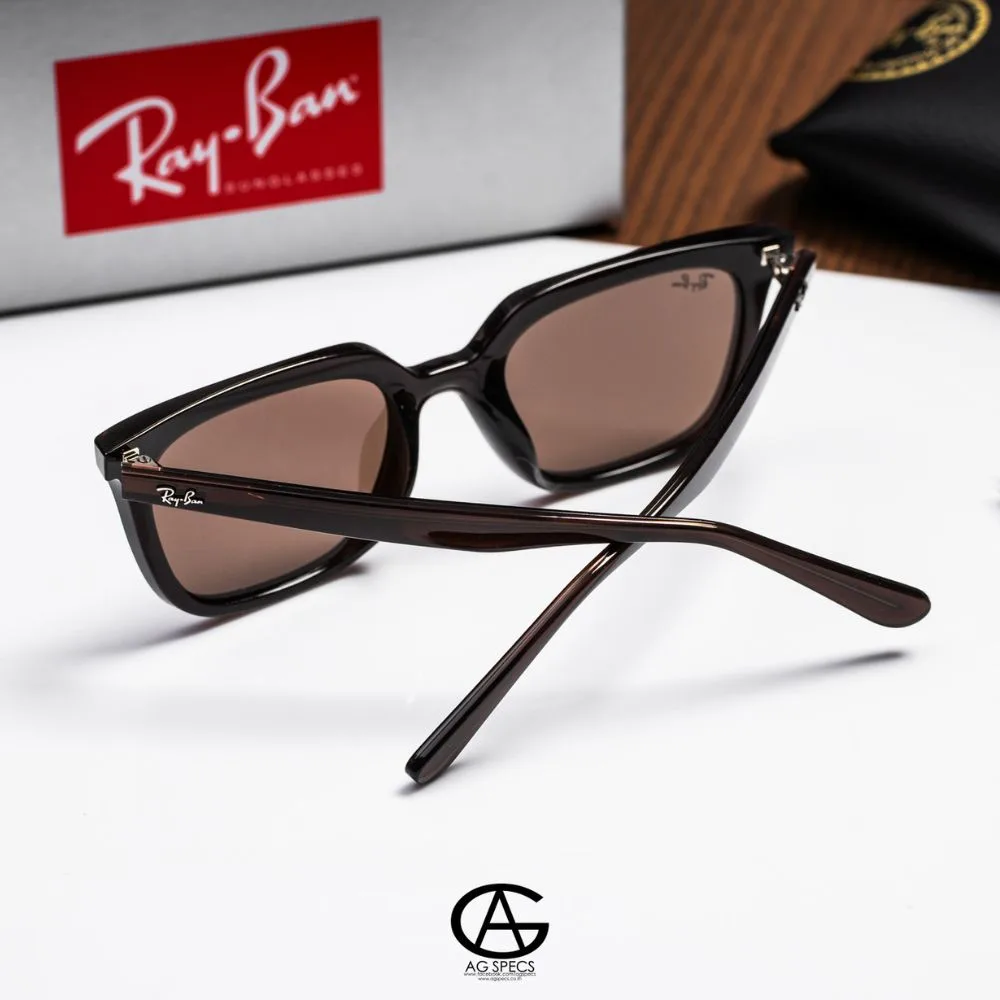 แว่น Ray-Ban RB4439D 623173 ขา