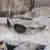 Oakley Eye Jacket OO9438 943805